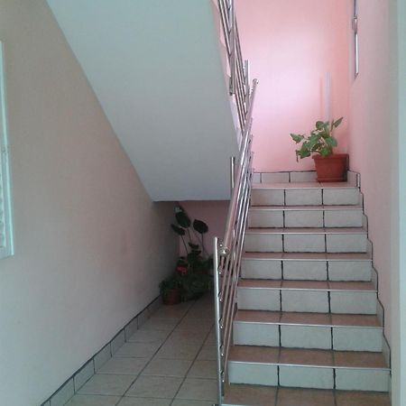 Villa Surac Murvica  Екстер'єр фото
